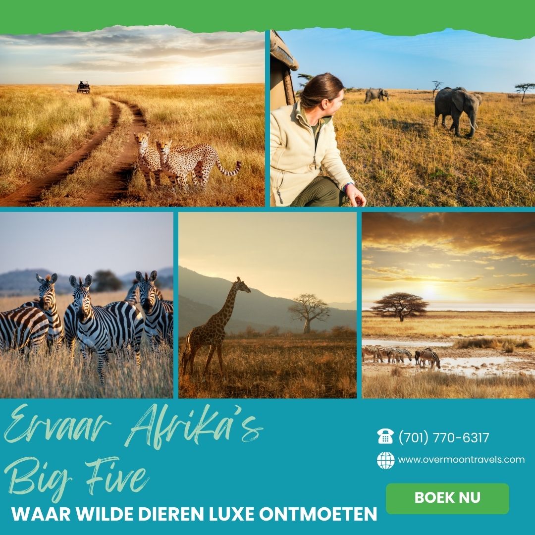 Reizen & Toerisme social media post